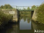 Nationaal Park de Biesbosch