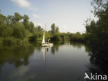 Nationaal Park de Biesbosch