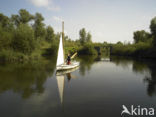 Nationaal Park de Biesbosch