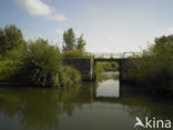 Nationaal Park de Biesbosch