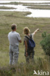 National Park de Maasduinen