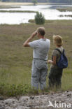 Nationaal Park De Maasduinen