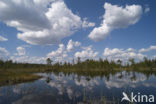 Nationaal Park Fulufjället