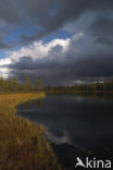 Nationaal Park Fulufjället