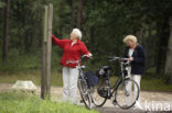 Nationaal Park Sallandse Heuvelrug