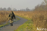 Nationaal Park Weerribben-Wieden