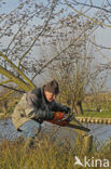 Nationaal Park Weerribben-Wieden