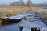 National Park Weerribben-Wieden