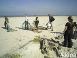 Noordzee