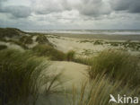 Northsea beach