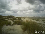Northsea beach