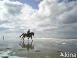 Noordzeestrand