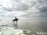 Noordzeestrand