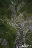 Parc National du Mercantour