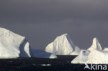 South Shetland islands