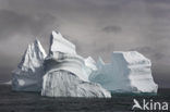 South Shetland islands