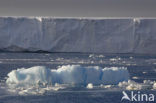 South Shetland islands