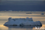 South Shetland islands