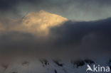 South Shetland islands