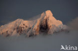 South Shetland islands