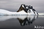 South Shetland islands