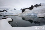 South Shetland islands