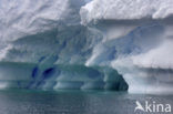 South Shetland islands