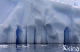 South Shetland islands