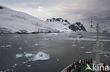 South Shetland islands