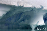 South Shetland islands