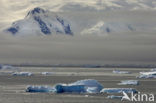 South Shetland islands