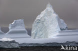 South Shetland islands