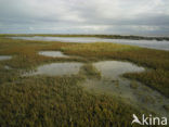 Terschelling