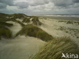 Terschelling