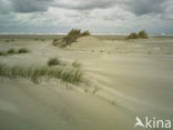 Terschelling