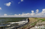 Waddenzee