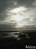 Waddenzee