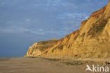 Cap Blanc-Nez