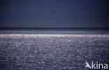 Caribbean Sea