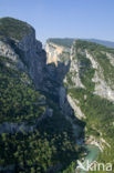 Gorges du Verdon