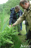 Heemtuin De Maten