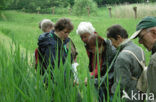 Heemtuin De Maten