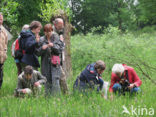 Heemtuin De Maten