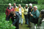 Heemtuin De Maten