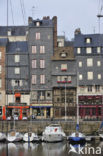 Honfleur