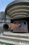 Coast battery