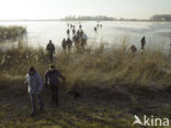 Markermeer