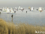 Markermeer