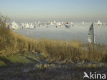 Markermeer