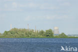 Nationaal Park de Biesbosch